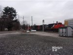 CN 8015